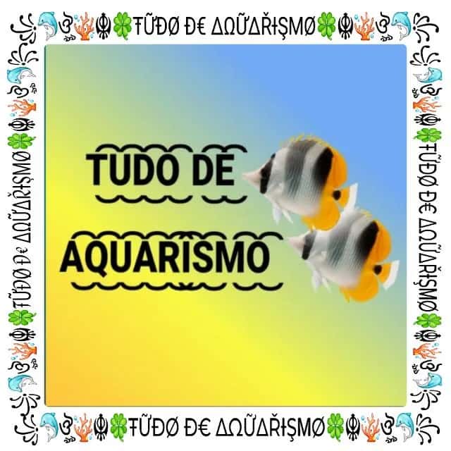 Tudo De Aquarismo — grupos de WhatsApp