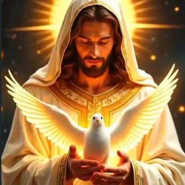 Amor De Deus E Verdadeiro — grupos de WhatsApp