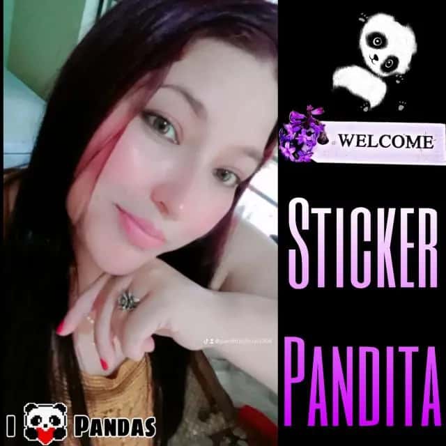 Sticker Pandita — grupos de WhatsApp