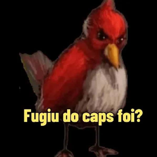 Os Foragidos Do Cap's — grupos de WhatsApp