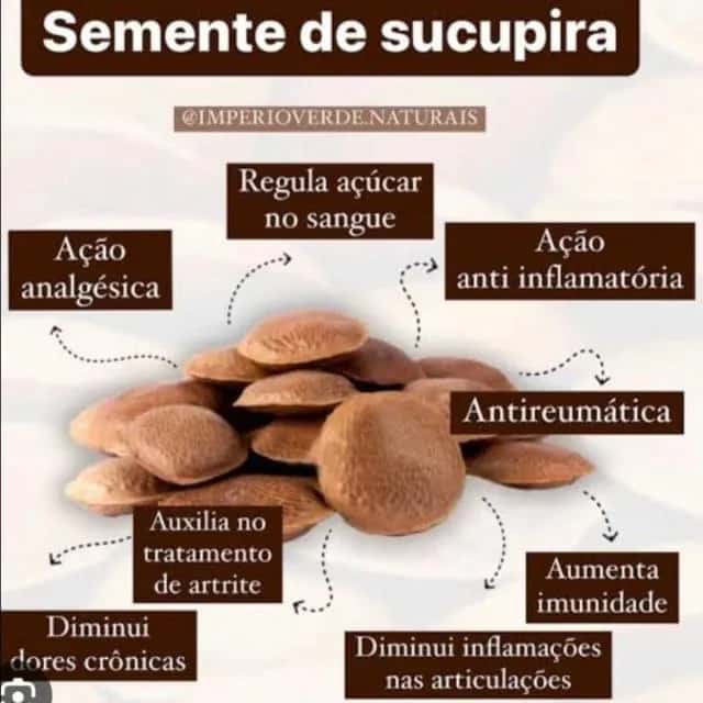 Óleos:mata viva saúde e Longevidade 100 %puros,da melhor forma de extração e da melhor espécie... — grupos de WhatsApp