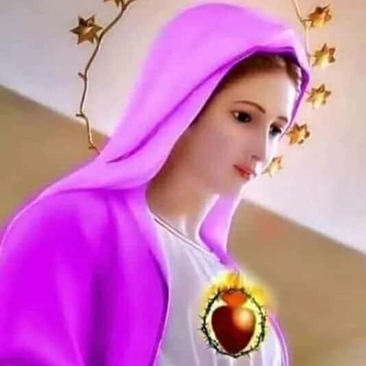 Caminhando Com Maria II — grupos de WhatsApp