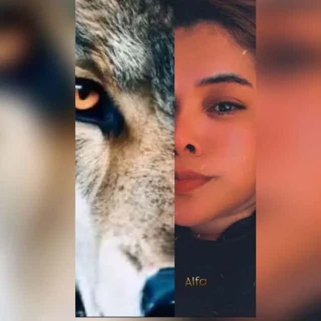 A MATIAS DOS ALPHAS🦊 — grupos de WhatsApp