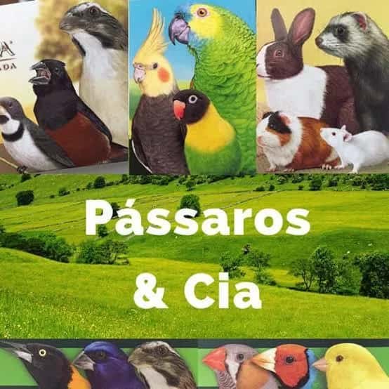 Passaros e Cia SP — grupos de WhatsApp