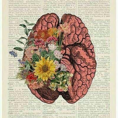 Ciências Da Natureza E Exatas — grupos de WhatsApp