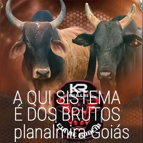 Grupão Do Peão Sistema Bruto De Planalmira Goiás Tem Muito Porre Bruto — grupos de WhatsApp