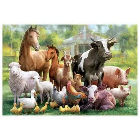 Venda e Troca de Animais RJ — grupos de WhatsApp