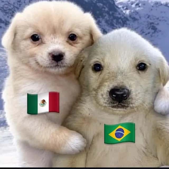 Amigos Y Amigas — grupos de WhatsApp