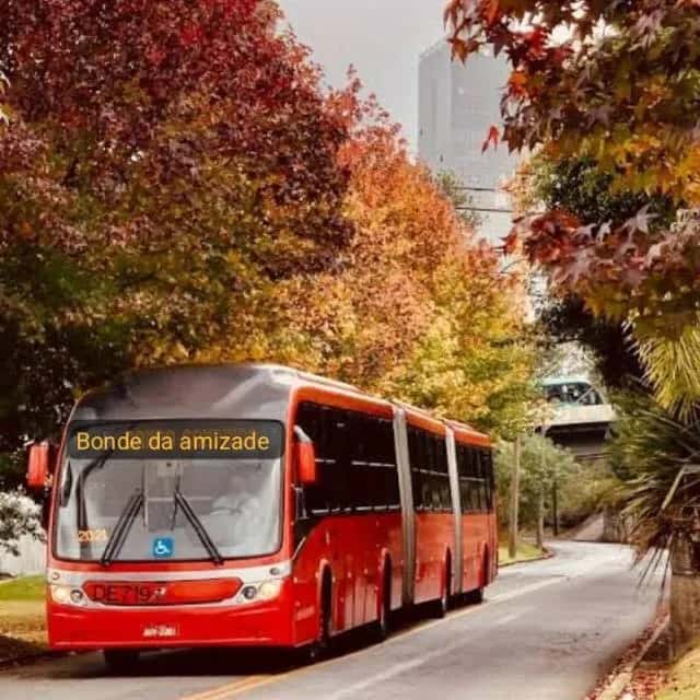 Bonde Da Amizade — grupos de WhatsApp