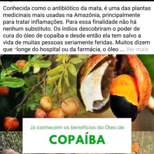 Saúde A Cura Pela Natureza — grupos de WhatsApp
