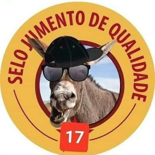 Alegria Vídeos Engraçados — grupos de WhatsApp