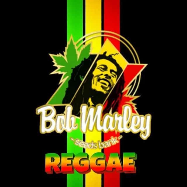 Tianguá Reggae — grupos de WhatsApp