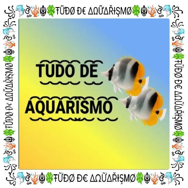 Tudo De Aquarismo