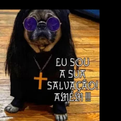 Chat Do Mal