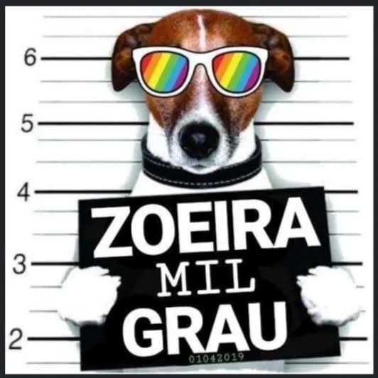 Enquetes, Brincadeiras e Perguntas Divertidas. Zoeira Mil Grau