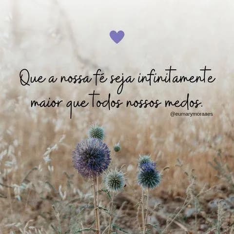 Frases Imagens e Vídeos