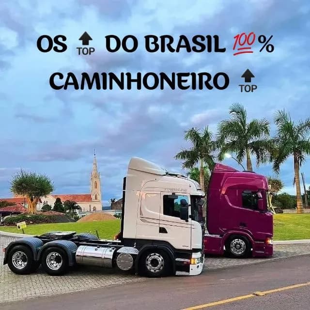 Os Do Brasil 100% Caminhoneiro