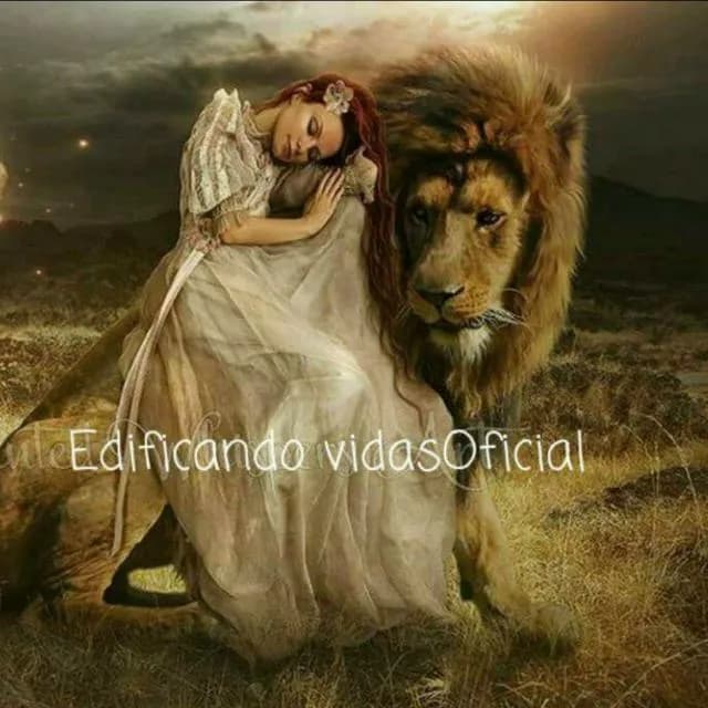 Edificando Vidas Oficial