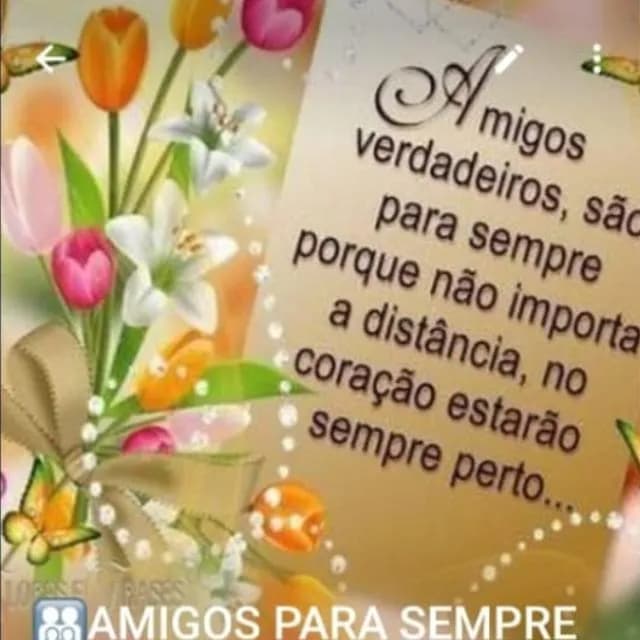 Amigo Irmao