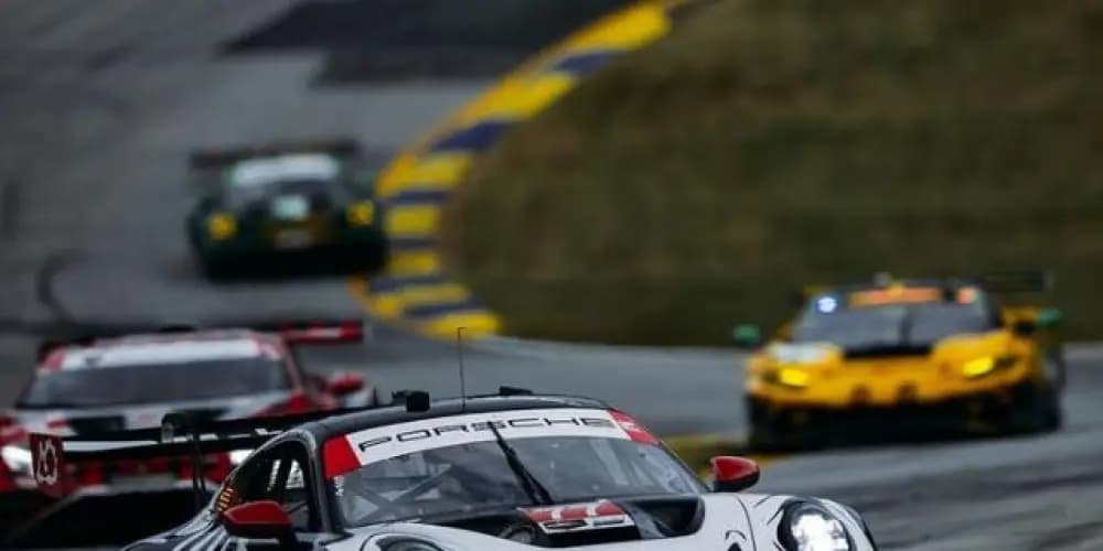 Conexão Forza — grupos de WhatsApp