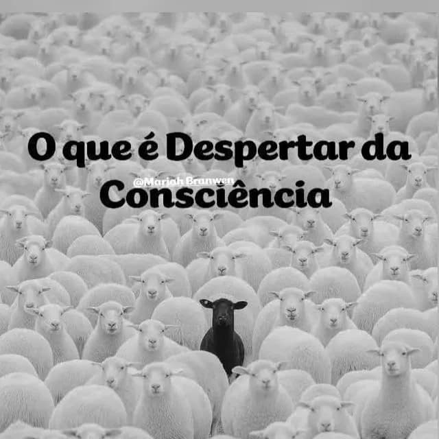 Despertar da Consciência