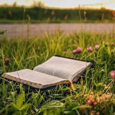 Divulgue Seus Grupos — grupos de WhatsApp