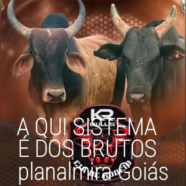 Grupão Do Peão Sistema Bruto De Planalmira Goiás Tem Muito Porre Bruto