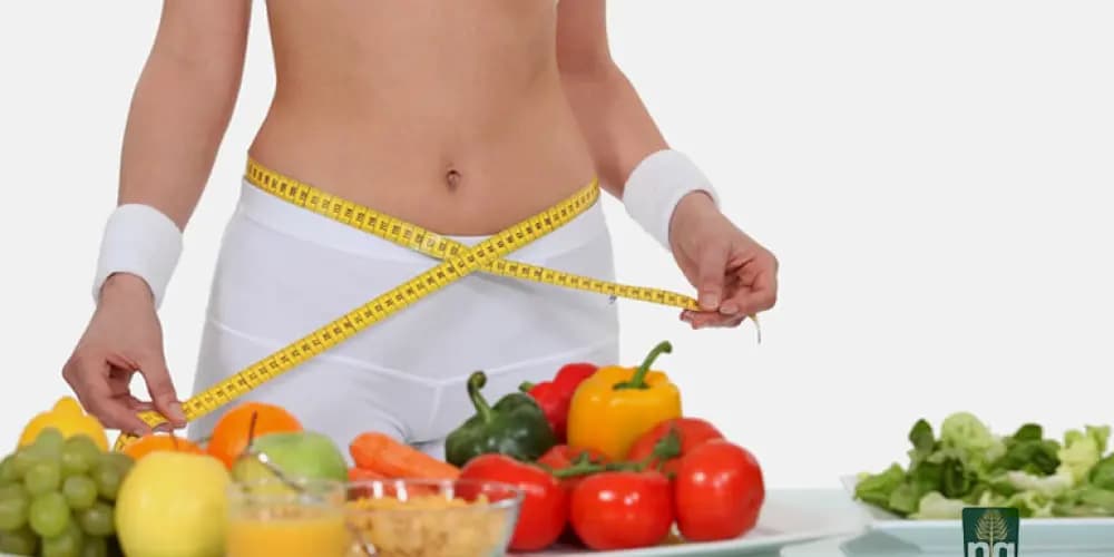 Emagrecimento Saudável — grupos de WhatsApp