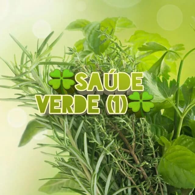 III Saude Verde - Terapias