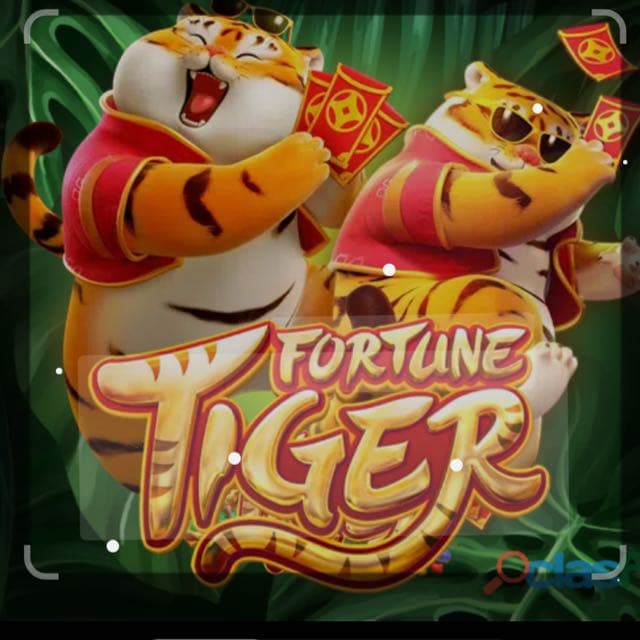 Os Melhores Links De Plataforma D02 — grupos de WhatsApp