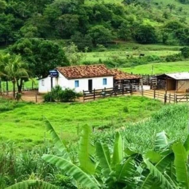 Papo Na Roça - Tudo De Bom — grupos de WhatsApp