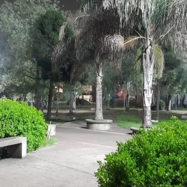 Musica, Recetas, Argentina Etc Enlaces Mundiais