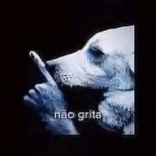 Chat Web Zoeira Etc