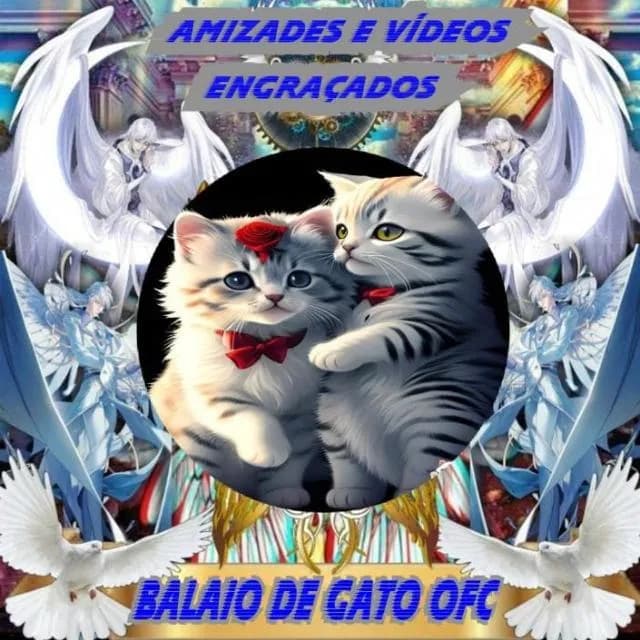 Amizades Vídeos Engraçados Balaio de Gato