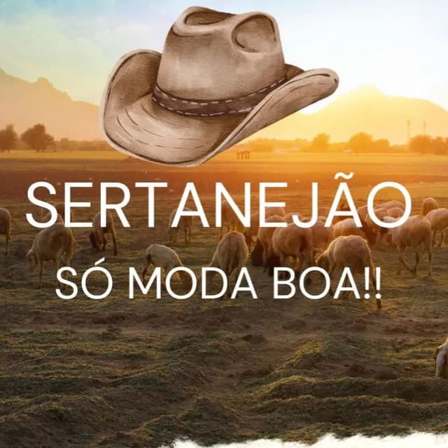 Sertanejo Só Moda Boa