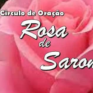 Círculo De Oração Rosa De Saron — grupos de WhatsApp