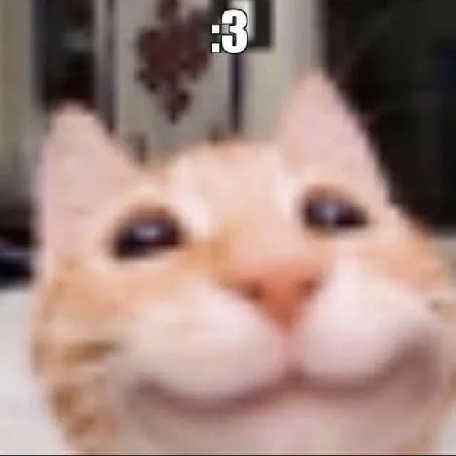 Figurinhas De Gato