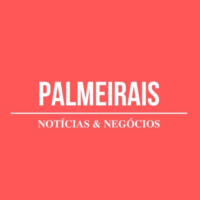 Palmeirais - Notícias e Negócios