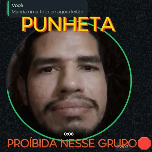 Shitpost — grupos de WhatsApp