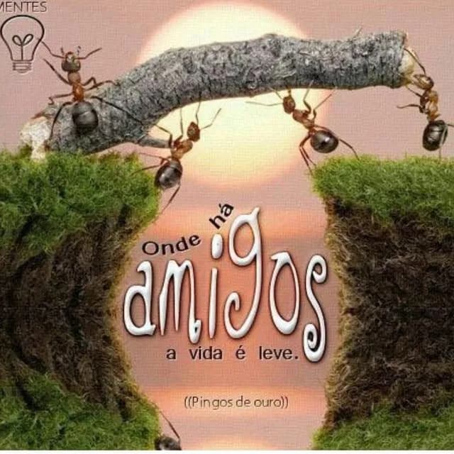 Amizades & Videos