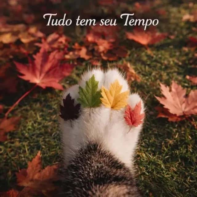 Motivação — grupos de WhatsApp