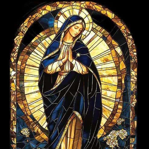 Aliança Católica — grupos de WhatsApp
