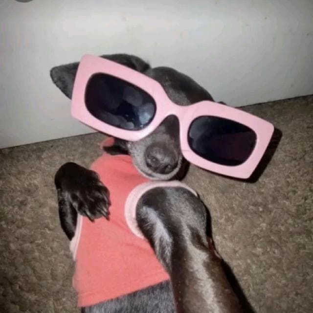 Amizades Do Vale — grupos de WhatsApp