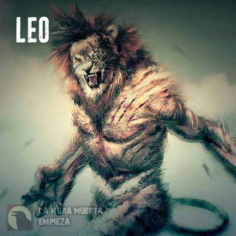 Bagi-Bagi Project — WhatsApp groups