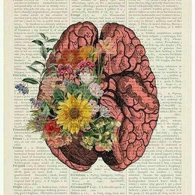Ciências Da Natureza E Exatas