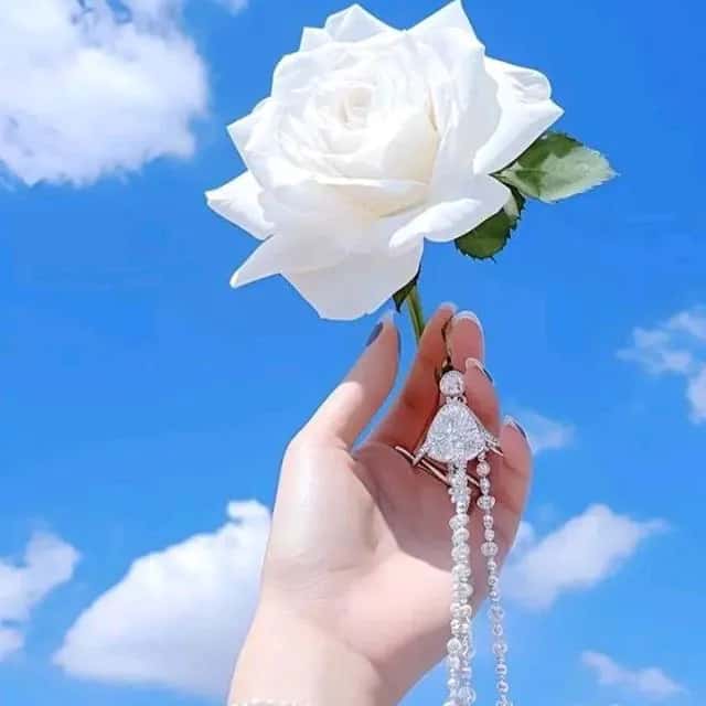Lamo De Amor — grupos de WhatsApp