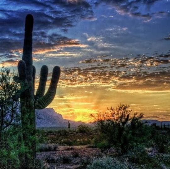 Disco De Ouro - Sertão Sertanejo Ofc — grupos de WhatsApp