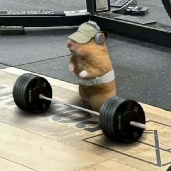 Gym Ratinhos — grupos de WhatsApp