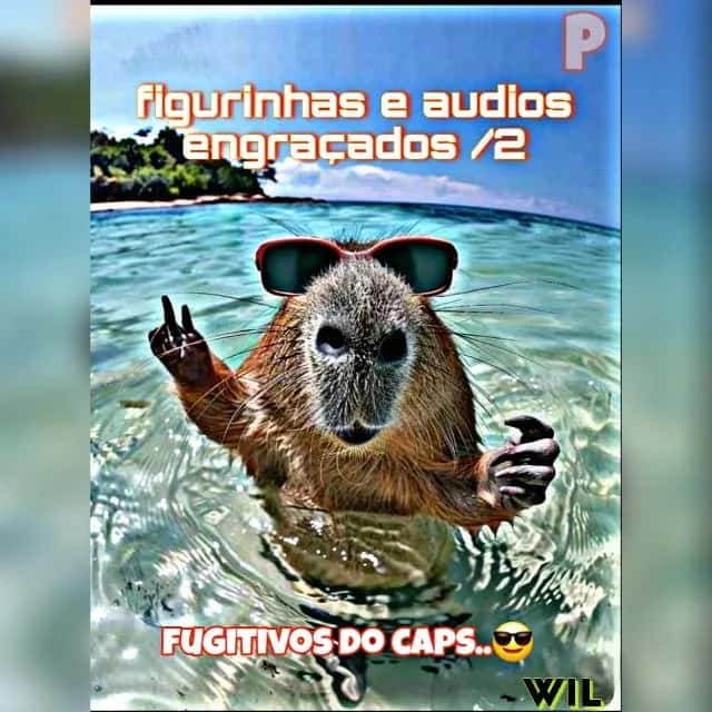 Figurinhas e Áudios — grupos de WhatsApp