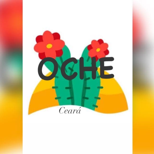 OCHE - Alunos Participantes 2024/2025